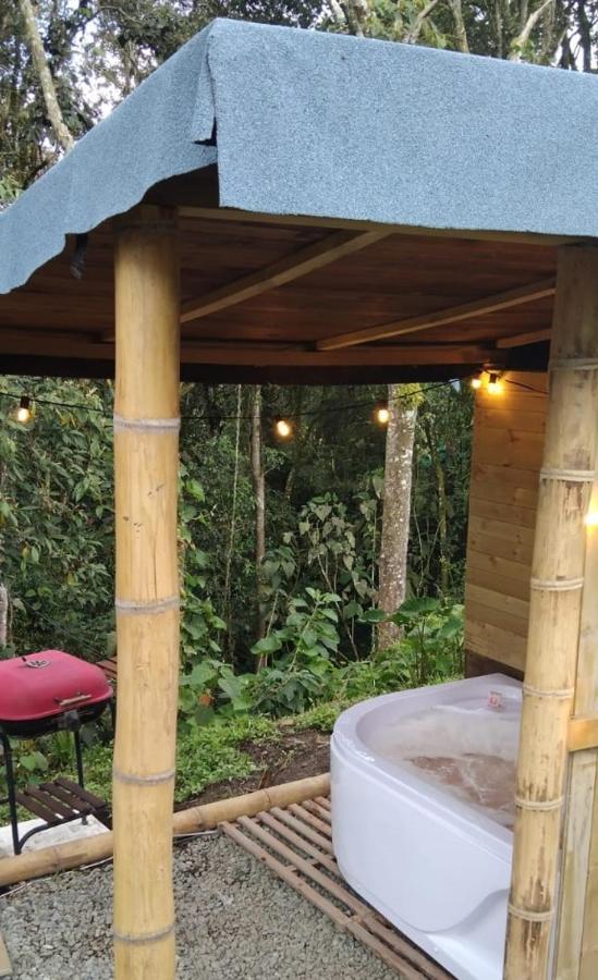 Bosquecito Escondido Campsite San Pedro (Antioquia)
