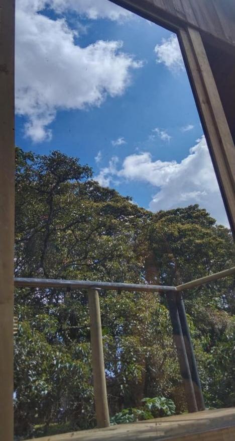 Campsite Bosquecito Escondido