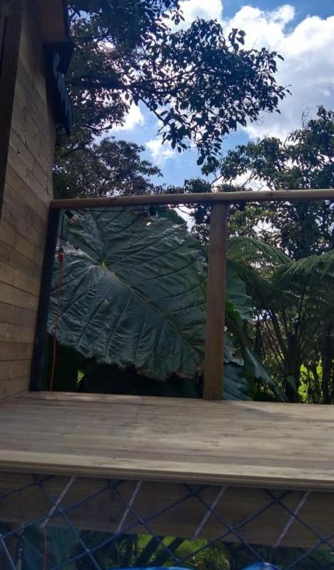 Bosquecito Escondido * San Pedro (Antioquia)