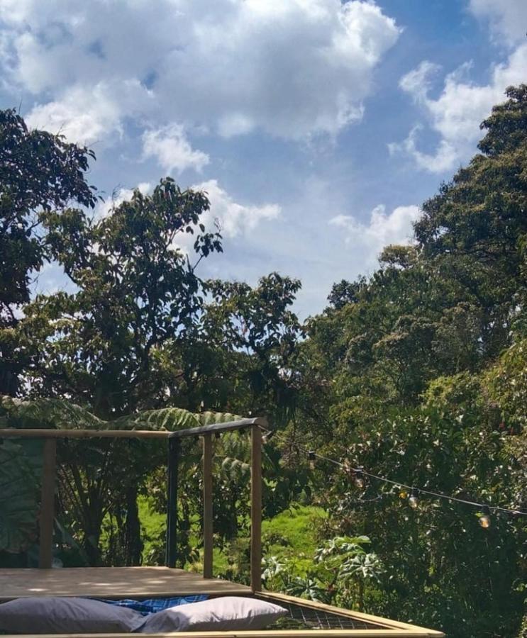 Bosquecito Escondido San Pedro (Antioquia)