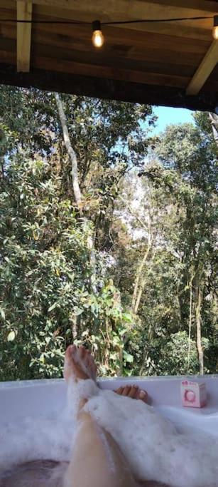 Bosquecito Escondido *