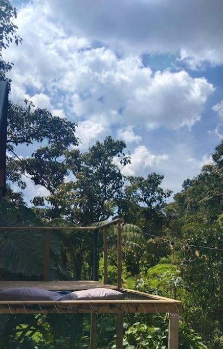 Bosquecito Escondido Campsite