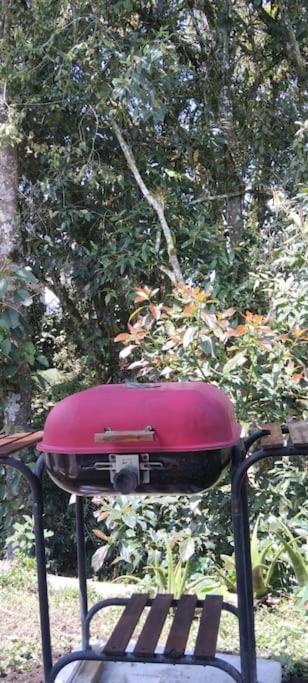 Campsite Bosquecito Escondido
