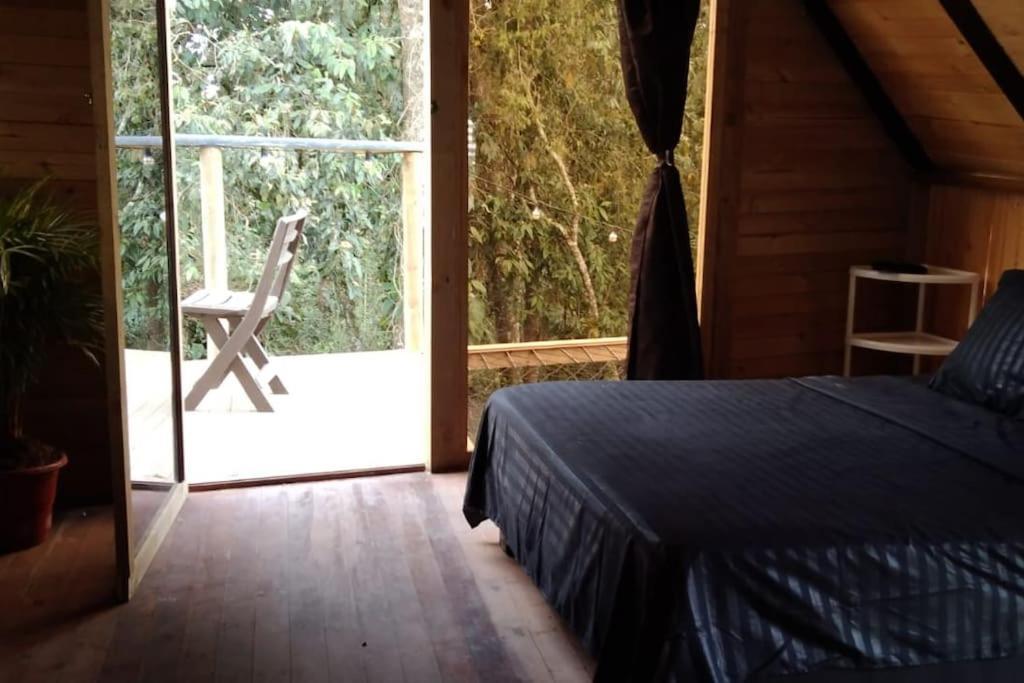 Campsite Bosquecito Escondido
