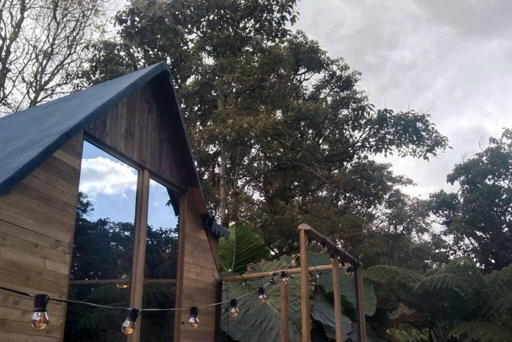 Campsite Bosquecito Escondido
